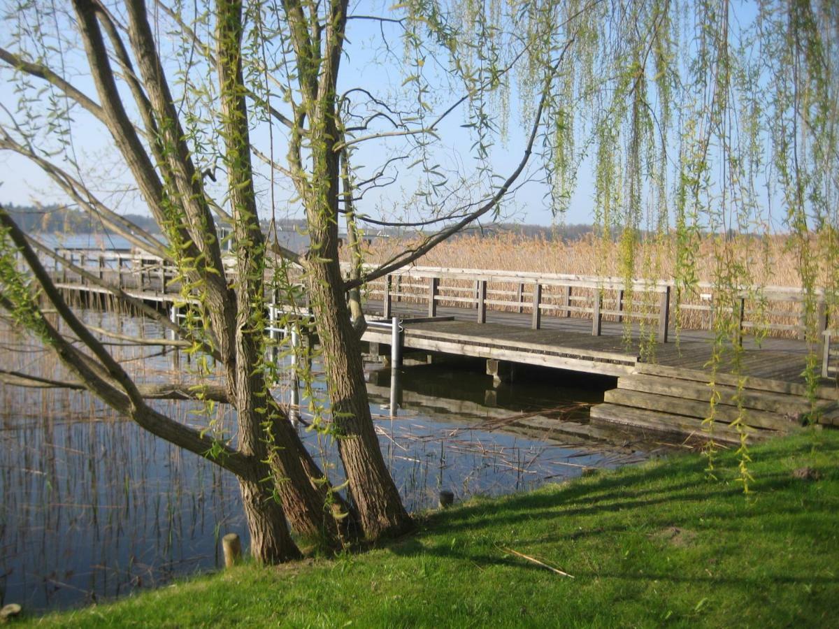 Schloss-Und Seeblick Apartment Rheinsberg Luaran gambar